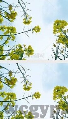 69影院伦理电影手机免费-69影院，伦理电影的移动观影新体验