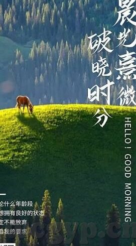 91麻豆国产语对白在线观看-一抹光影的午后，91麻豆国产语对白的魅力时光