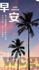 91麻豆精品国产专区-观察者之声，重构国产内容生态的91麻豆精品国产专区