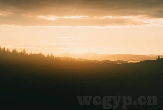 成人电影视频网址-成人电影视频网址，了解与风险并存的数字世界