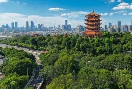 精品麻豆av在线播放-以光影的艺术，论时下精品麻豆av的在线观看体验与意义为题，我们开始这次的思考旅程