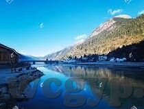 麻豆经济app-麻豆经济App，重塑地方经济活力的新动力