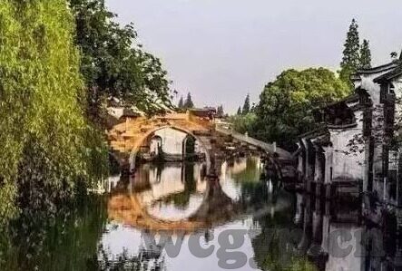 麻豆仙踪林果冻视频-麻豆仙踪，一窥林果冻视频的魔法世界