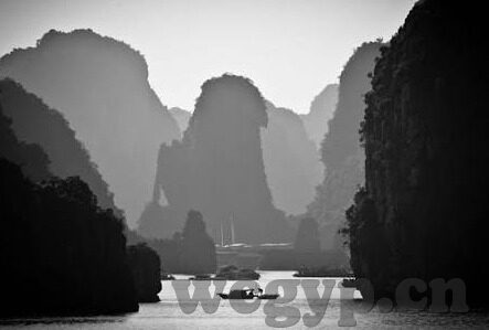 麻豆中文字幕视频-揭秘网络文化的另类视角，麻豆中文字幕视频的微妙观察