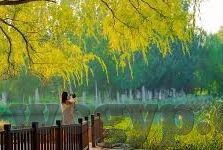欧美伦理片在人线2018-欧美伦理片在2018年的新视角与影响