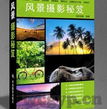 日本妇人成熟免费中文字幕-探索日本女性魅力，在成熟与优雅中绽放