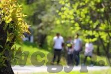 日女成人免费视频-网络世界的多元探索，成人内容与信息安全的平衡